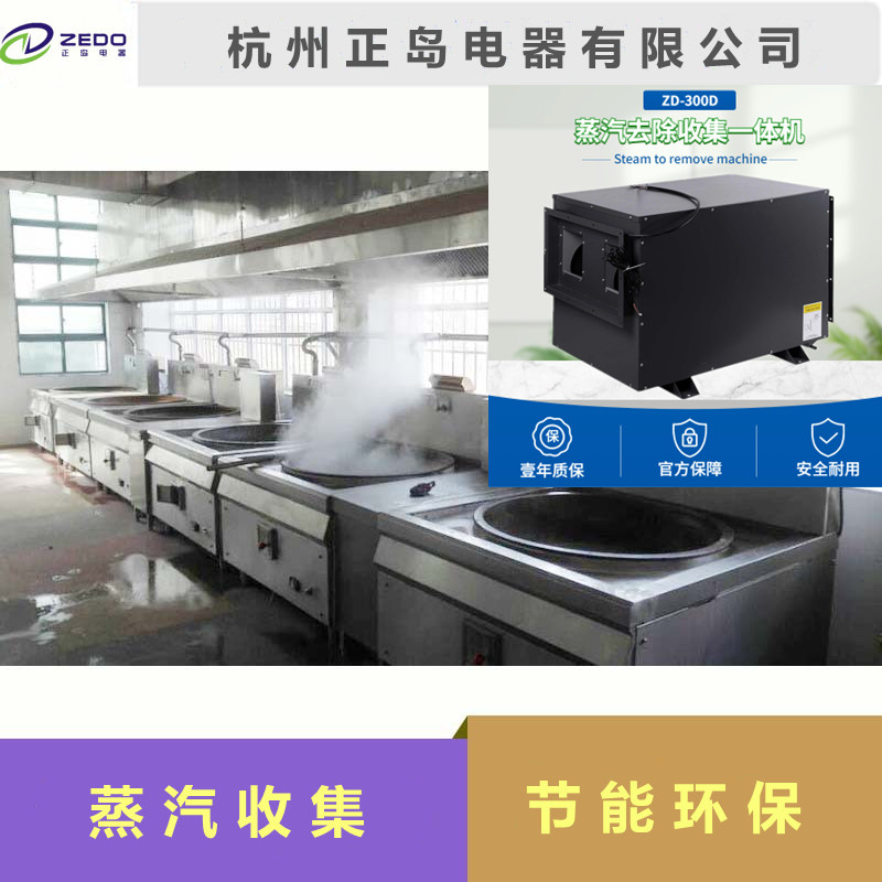 蒸汽凈化去除機