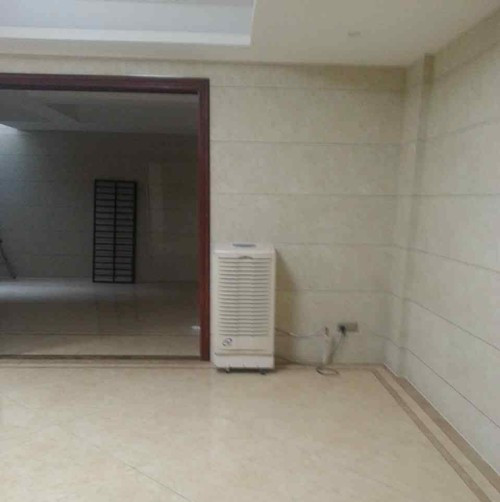 別墅地下室除濕機 別墅地下室除濕機