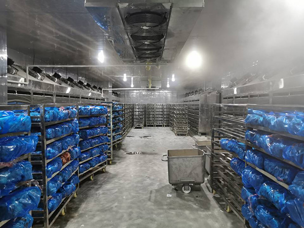 解凍庫加濕機(jī)