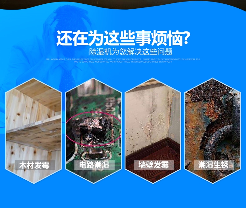 工業(yè)抽濕機(jī)