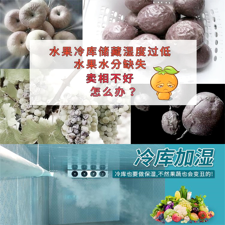 冷庫(kù)保鮮加濕器