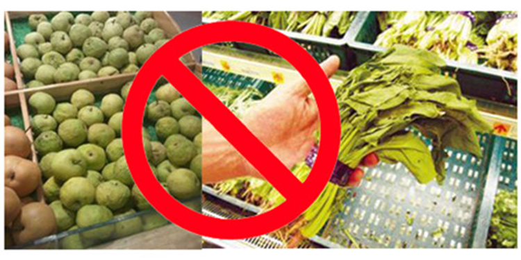 果蔬保鮮噴霧加濕器 果蔬保鮮噴霧加濕器